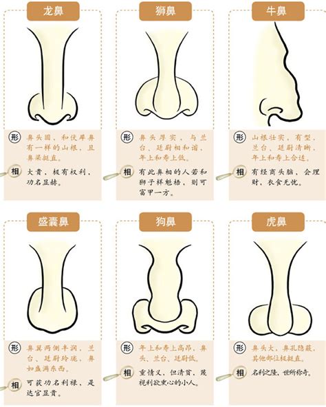 鼻翼寬面相男